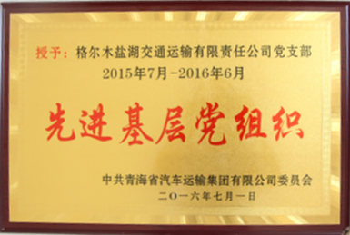拼搏在线官网入口网站集团先进基层党组织（2016.7）